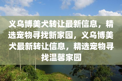 义乌博美犬转让最新信息，精选宠物寻找新家园，义乌博美犬最新转让信息，精选宠物寻找温馨家园