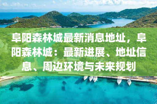 阜阳森林城最新消息地址，阜阳森林城：最新进展、地址信息、周边环境与未来规划
