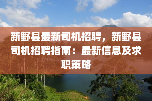 新野县最新司机招聘，新野县司机招聘指南：最新信息及求职策略