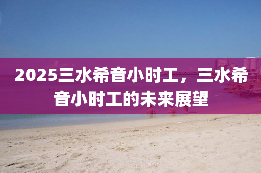 2025三水希音小时工，三水希音小时工的未来展望