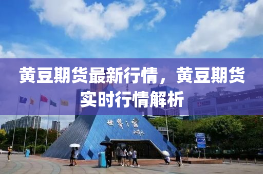 黄豆期货最新行情，黄豆期货实时行情解析