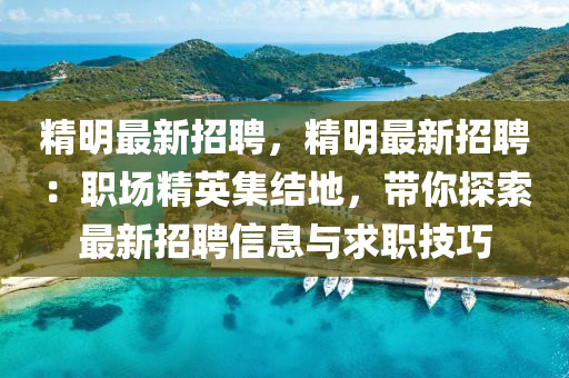 精明最新招聘，精明最新招聘：职场精英集结地，带你探索最新招聘信息与求职技巧