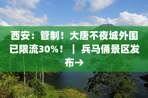 西安：管制！大唐不夜城外围已限流30%！｜ 兵马俑景区发布→