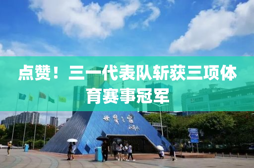 点赞！三一代表队斩获三项体育赛事冠军