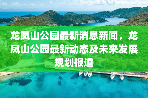 龙凤山公园最新消息新闻，龙凤山公园最新动态及未来发展规划报道