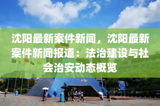 沈阳最新案件新闻，沈阳最新案件新闻报道：法治建设与社会治安动态概览