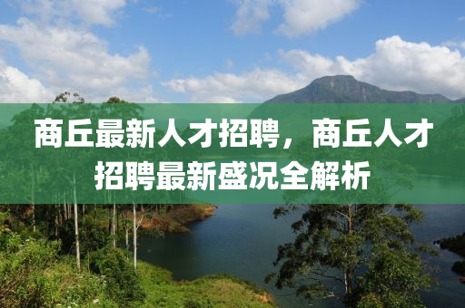 商丘最新人才招聘，商丘人才招聘最新盛况全解析