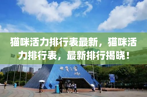 猫咪活力排行表最新，猫咪活力排行表，最新排行揭晓！