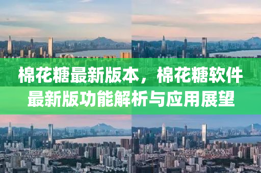 棉花糖最新版本，棉花糖软件最新版功能解析与应用展望