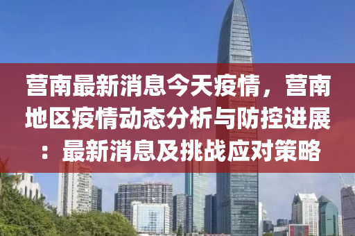 营南最新消息今天疫情，营南地区疫情动态分析与防控进展：最新消息及挑战应对策略