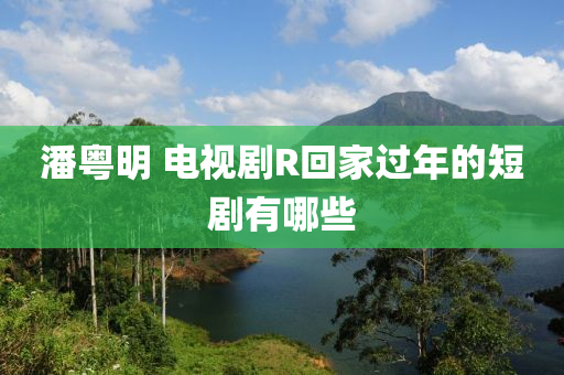潘粤明 电视剧R回家过年的短剧有哪些