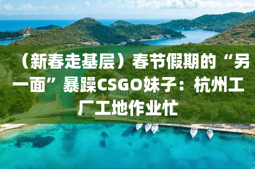 （新春走基层）春节假期的“另一面”暴躁CSGO妹子：杭州工厂工地作业忙