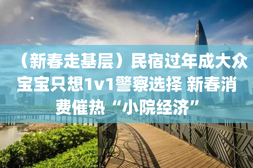 （新春走基层）民宿过年成大众宝宝只想1v1警察选择 新春消费催热“小院经济”