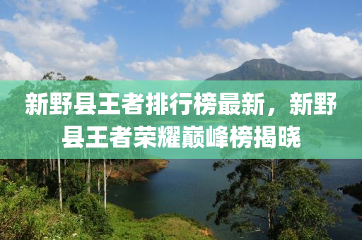 新野县王者排行榜最新，新野县王者荣耀巅峰榜揭晓
