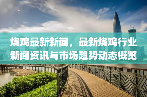 烧鸡最新新闻，最新烧鸡行业新闻资讯与市场趋势动态概览