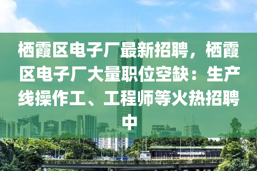 栖霞区电子厂最新招聘，栖霞区电子厂大量职位空缺：生产线操作工、工程师等火热招聘中