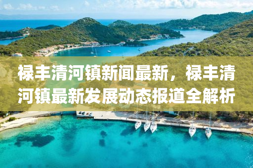 禄丰清河镇新闻最新，禄丰清河镇最新发展动态报道全解析
