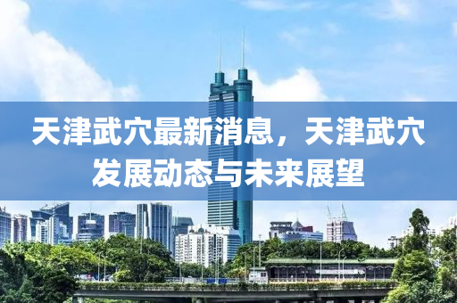 天津武穴最新消息，天津武穴发展动态与未来展望