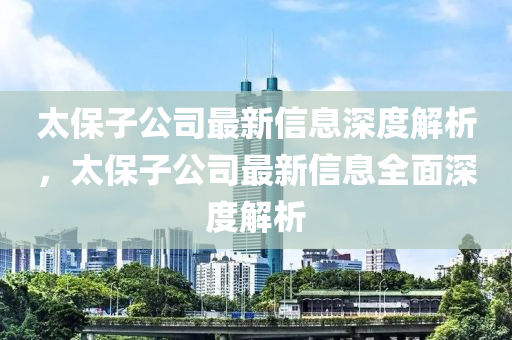 太保子公司最新信息深度解析，太保子公司最新信息全面深度解析