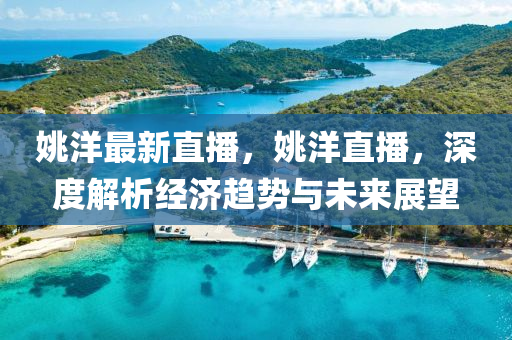 姚洋最新直播，姚洋直播，深度解析经济趋势与未来展望