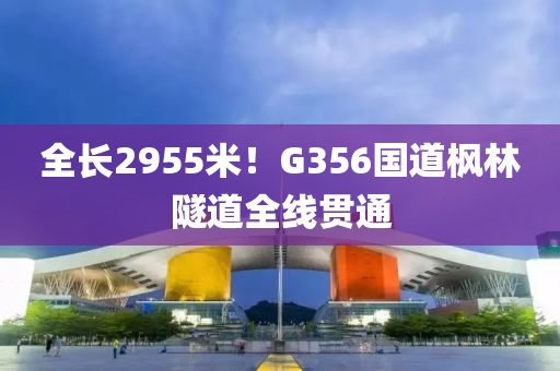 全长2955米！G356国道枫林隧道全线贯通