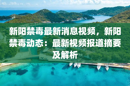 新阳禁毒最新消息视频，新阳禁毒动态：最新视频报道摘要及解析