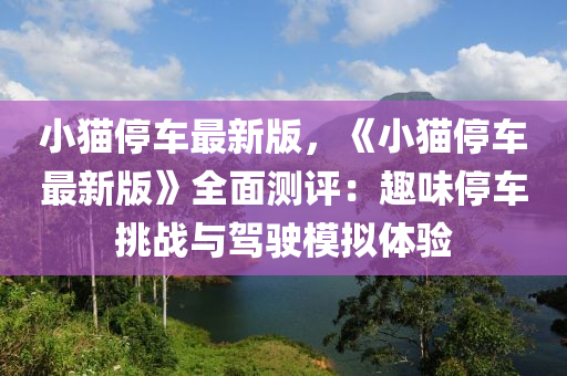 小猫停车最新版，《小猫停车最新版》全面测评：趣味停车挑战与驾驶模拟体验