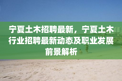宁夏土木招聘最新，宁夏土木行业招聘最新动态及职业发展前景解析
