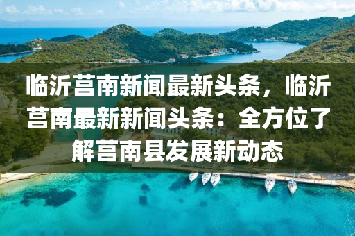临沂莒南新闻最新头条，临沂莒南最新新闻头条：全方位了解莒南县发展新动态