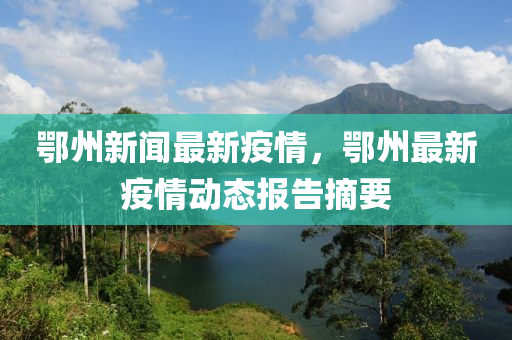 鄂州新闻最新疫情，鄂州最新疫情动态报告摘要