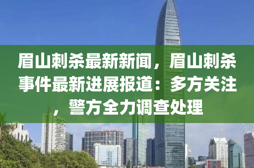 眉山刺杀最新新闻，眉山刺杀事件最新进展报道：多方关注，警方全力调查处理