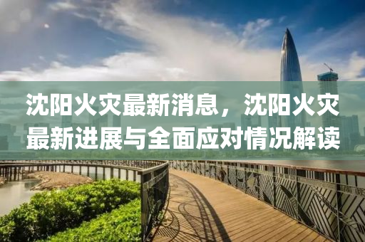 沈阳火灾最新消息，沈阳火灾最新进展与全面应对情况解读
