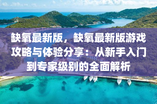 缺氧最新版，缺氧最新版游戏攻略与体验分享：从新手入门到专家级别的全面解析