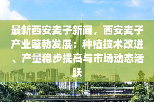 最新西安麦子新闻，西安麦子产业蓬勃发展：种植技术改进、产量稳步提高与市场动态活跃