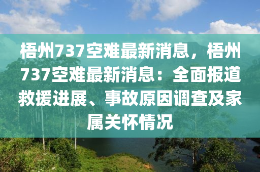 梧州737空难最新消息，梧州737空难最新消息：全面报道救援进展、事故原因调查及家属关怀情况