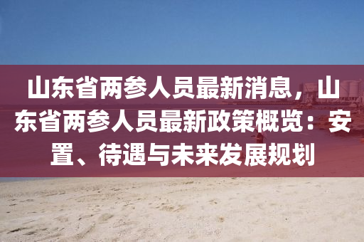 山东省两参人员最新消息，山东省两参人员最新政策概览：安置、待遇与未来发展规划