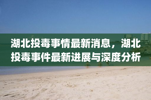 湖北投毒事情最新消息，湖北投毒事件最新进展与深度分析