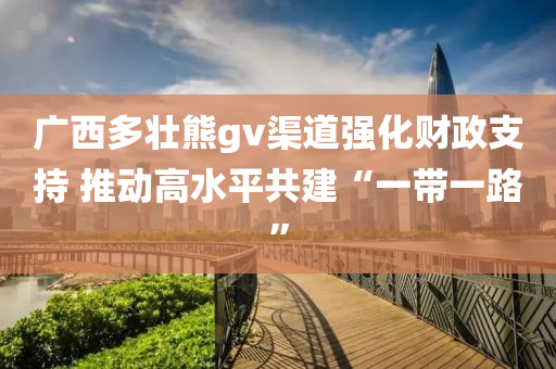 广西多壮熊gv渠道强化财政支持 推动高水平共建“一带一路”