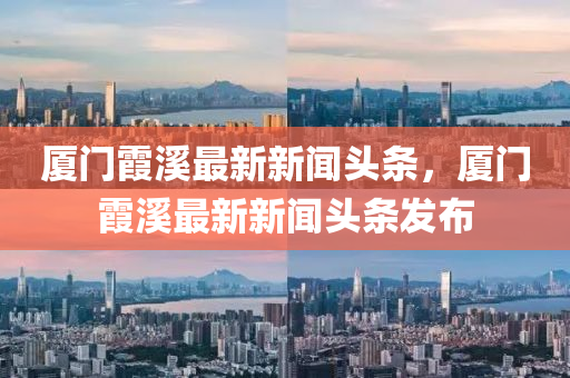厦门霞溪最新新闻头条，厦门霞溪最新新闻头条发布