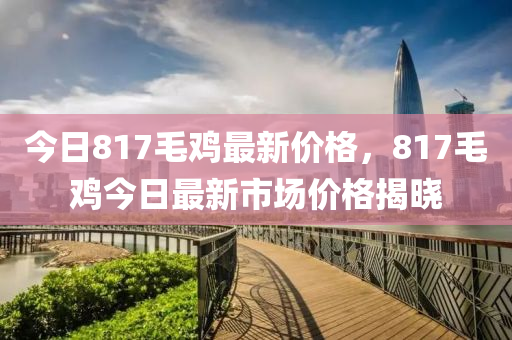 今日817毛鸡最新价格，817毛鸡今日最新市场价格揭晓
