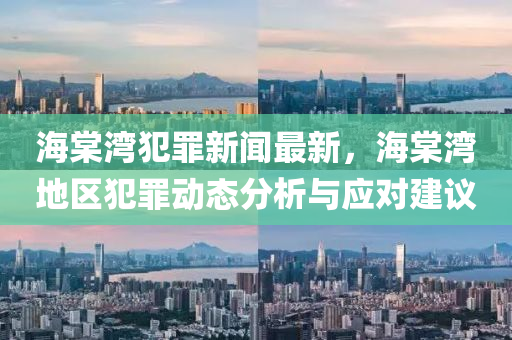 海棠湾犯罪新闻最新，海棠湾地区犯罪动态分析与应对建议