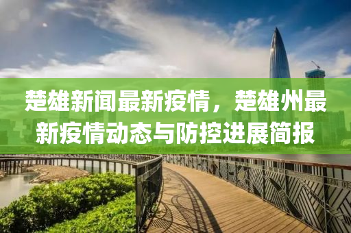 楚雄新闻最新疫情，楚雄州最新疫情动态与防控进展简报