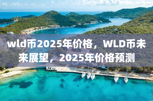 wld币2025年价格，WLD币未来展望，2025年价格预测