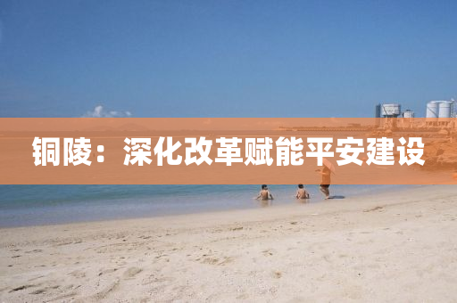 铜陵：深化改革赋能平安建设