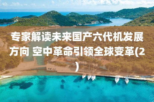 专家解读未来国产六代机发展方向 空中革命引领全球变革(2)