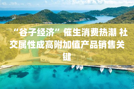 “谷子经济”催生消费热潮 社交属性成高附加值产品销售关键
