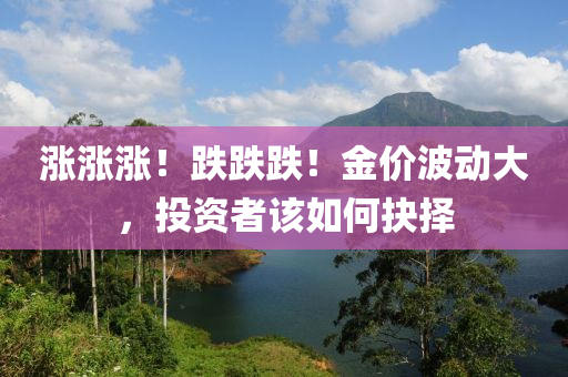 涨涨涨！跌跌跌！金价波动大，投资者该如何抉择