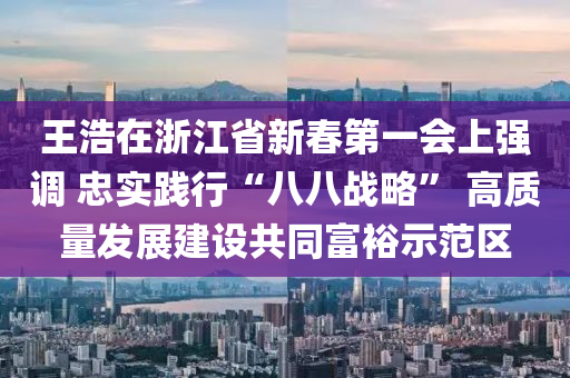 王浩在浙江省新春第一会上强调 忠实践行“八八战略” 高质量发展建设共同富裕示范区