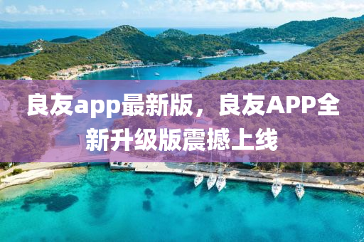良友app最新版，良友APP全新升级版震撼上线