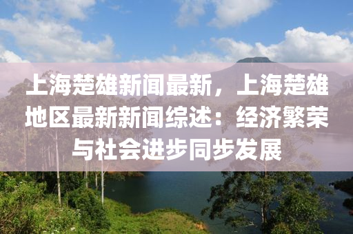 上海楚雄新闻最新，上海楚雄地区最新新闻综述：经济繁荣与社会进步同步发展